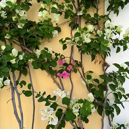 Bed & Breakfast Casa Calamondino *